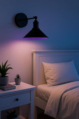 2-Pack Vintage Black Battery Wall Lights – Wireless, Dimmable, with Remote