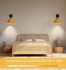 Wireless Battery Wall Sconce, Gold Rattan Bohemian Dimmable Light with Remote Control, Indoor Wall Lamp for Bedroom & Living Room (2 Pack)
