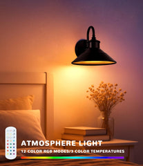 Battery-Powered Wall Light Set of 2, Black Vintage Industrial Style Wireless Wall Light, Installation Video