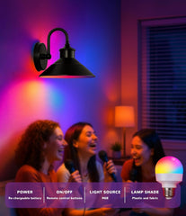 Battery-Powered Wall Light Set of 2, Black Vintage Industrial Style Wireless Wall Light, Installation Video