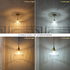 Trefle Glass Hanging Light  pendant - Franing